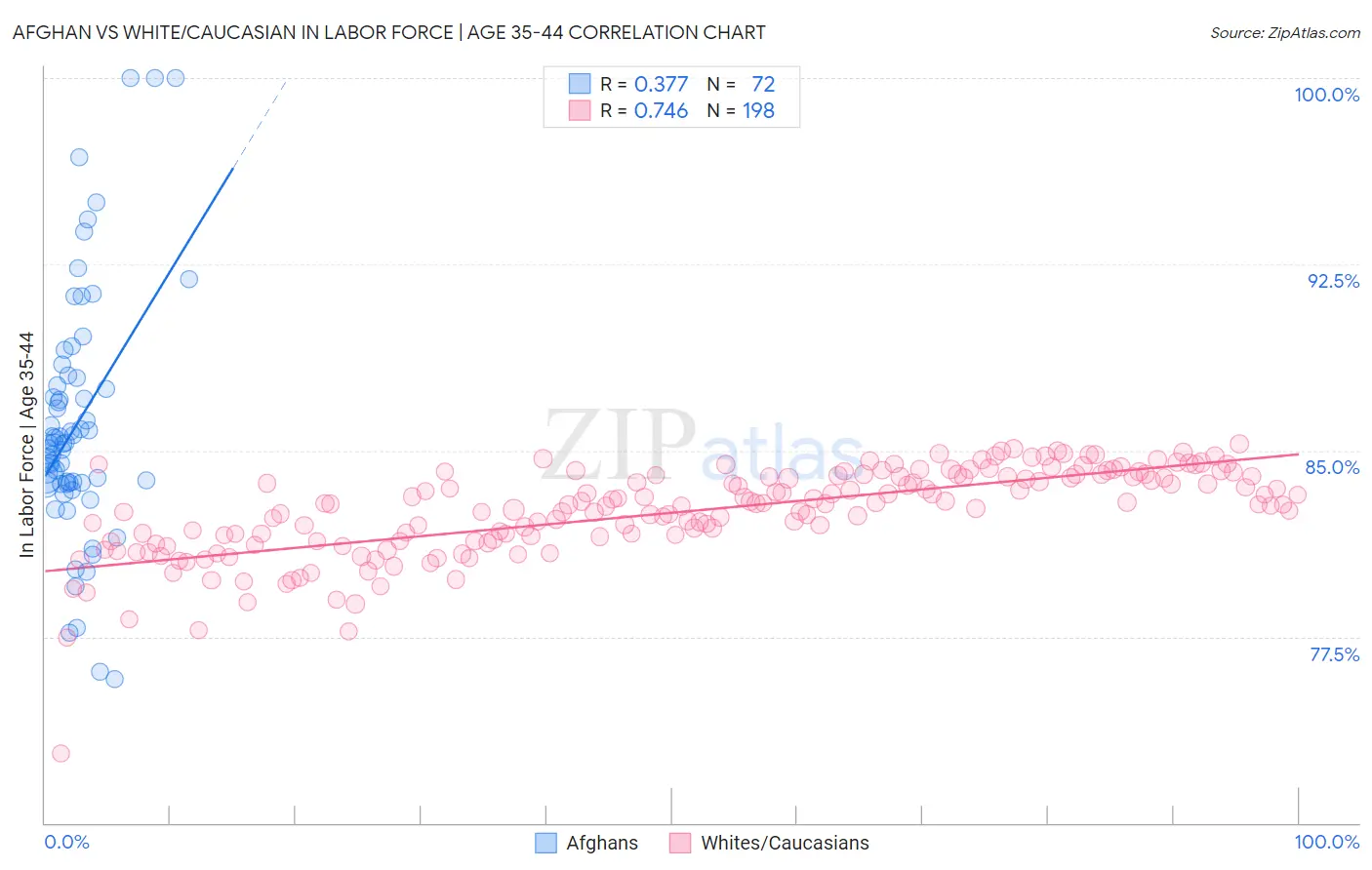 Afghan vs White/Caucasian In Labor Force | Age 35-44