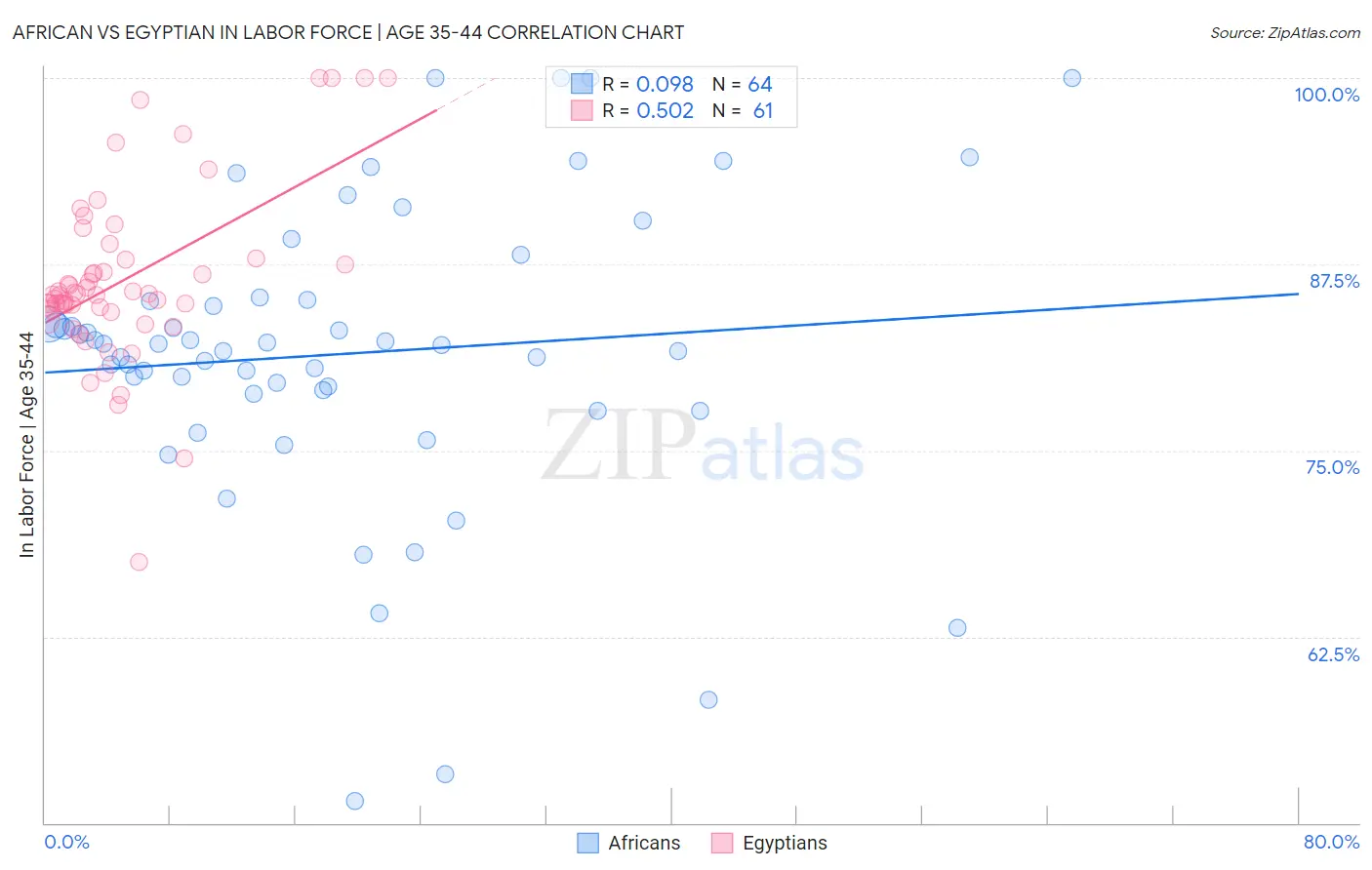 African vs Egyptian In Labor Force | Age 35-44