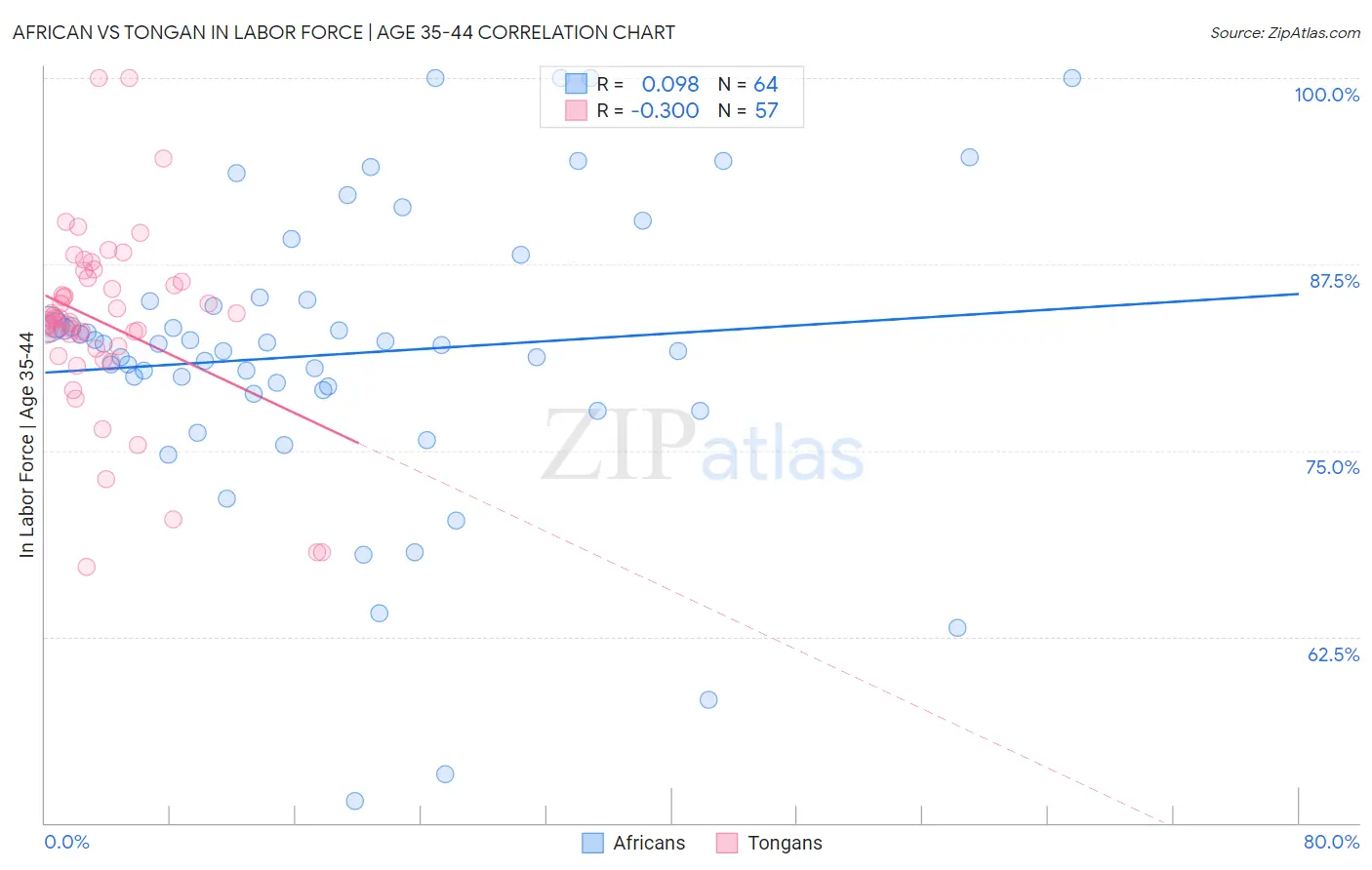 African vs Tongan In Labor Force | Age 35-44