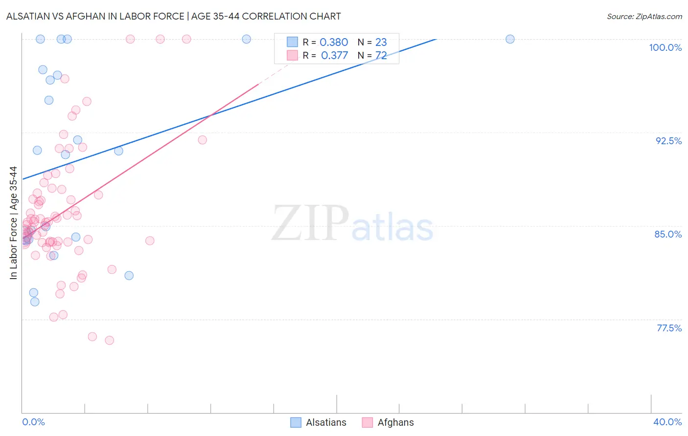 Alsatian vs Afghan In Labor Force | Age 35-44