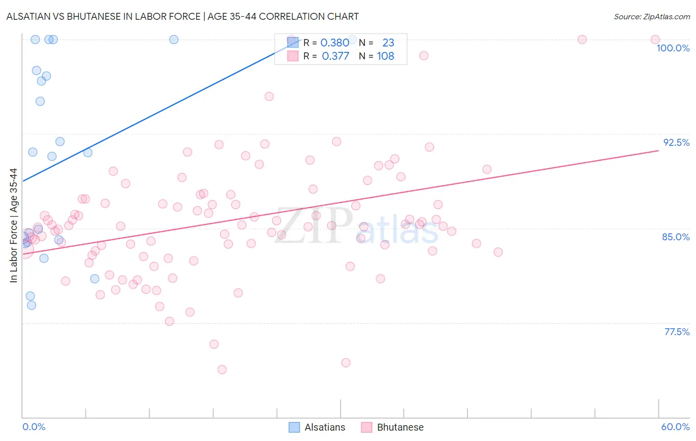Alsatian vs Bhutanese In Labor Force | Age 35-44