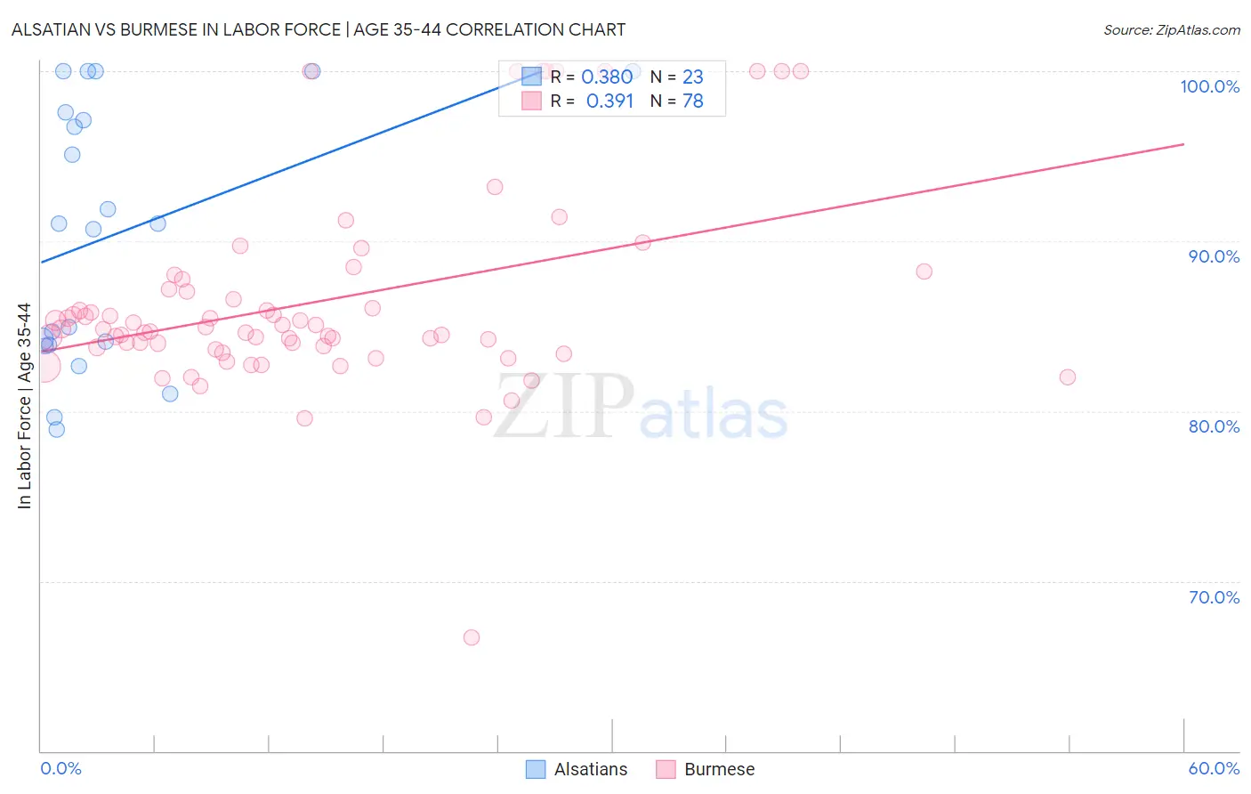 Alsatian vs Burmese In Labor Force | Age 35-44