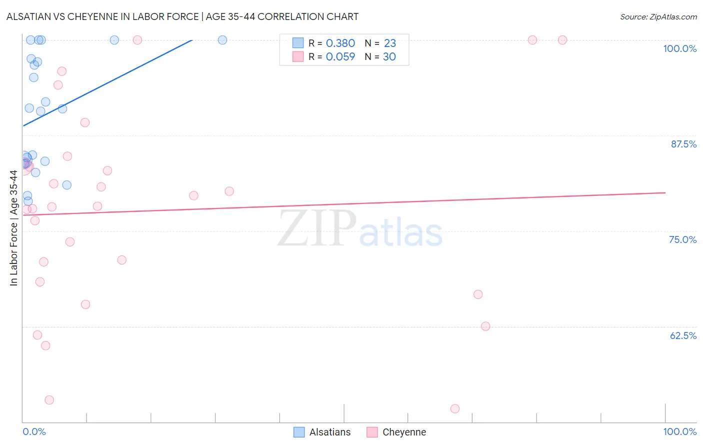 Alsatian vs Cheyenne In Labor Force | Age 35-44