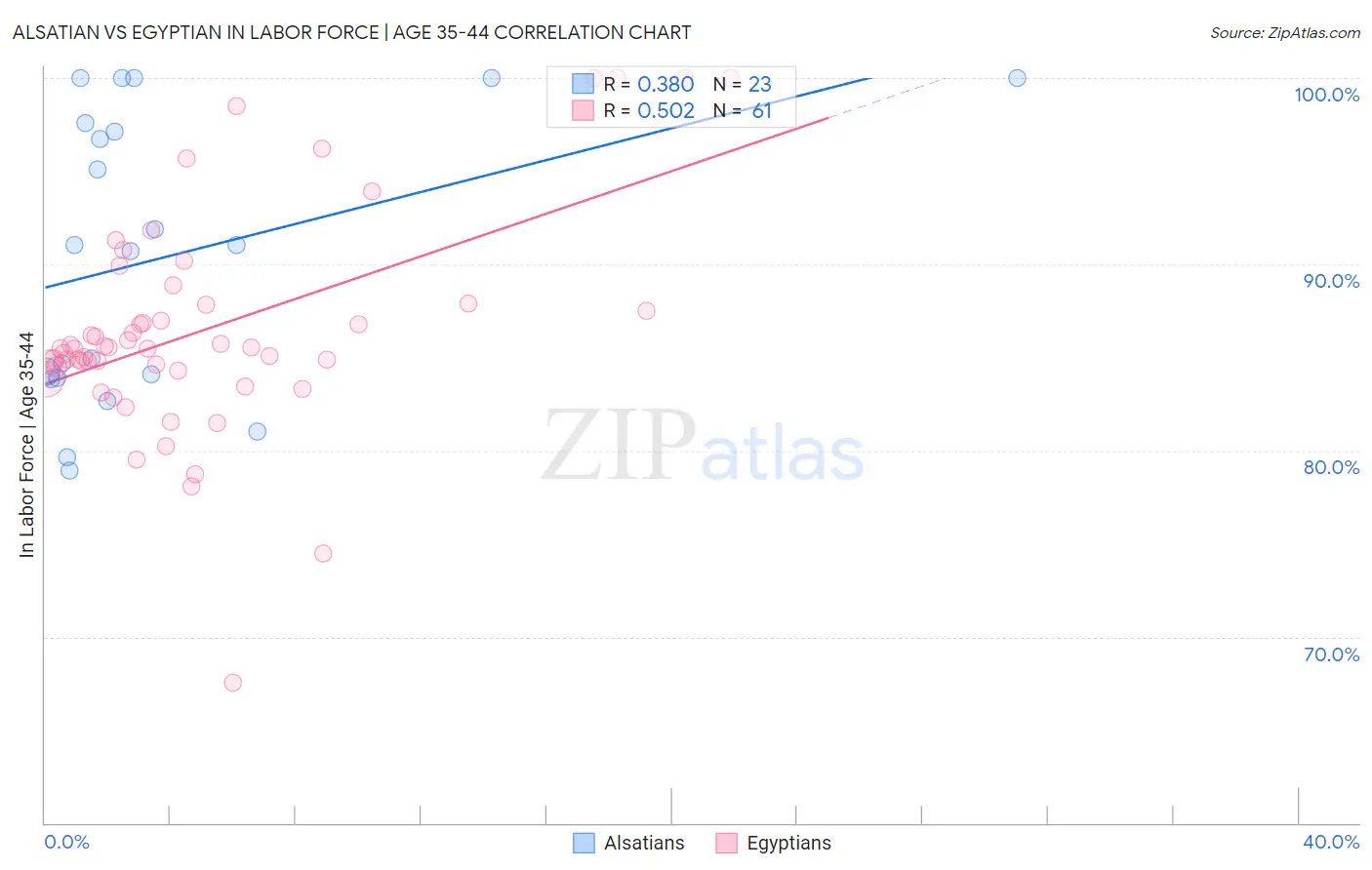 Alsatian vs Egyptian In Labor Force | Age 35-44