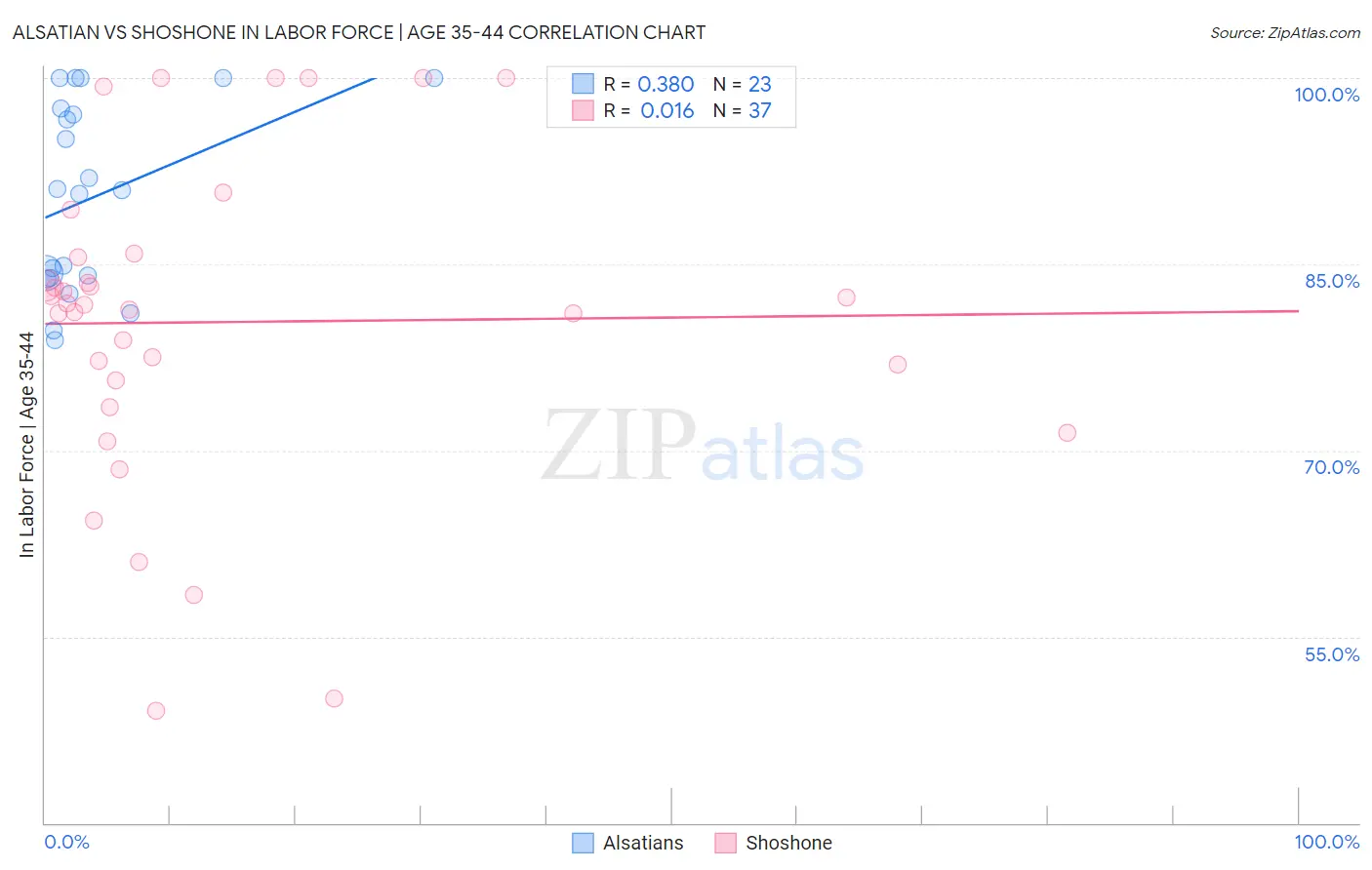 Alsatian vs Shoshone In Labor Force | Age 35-44