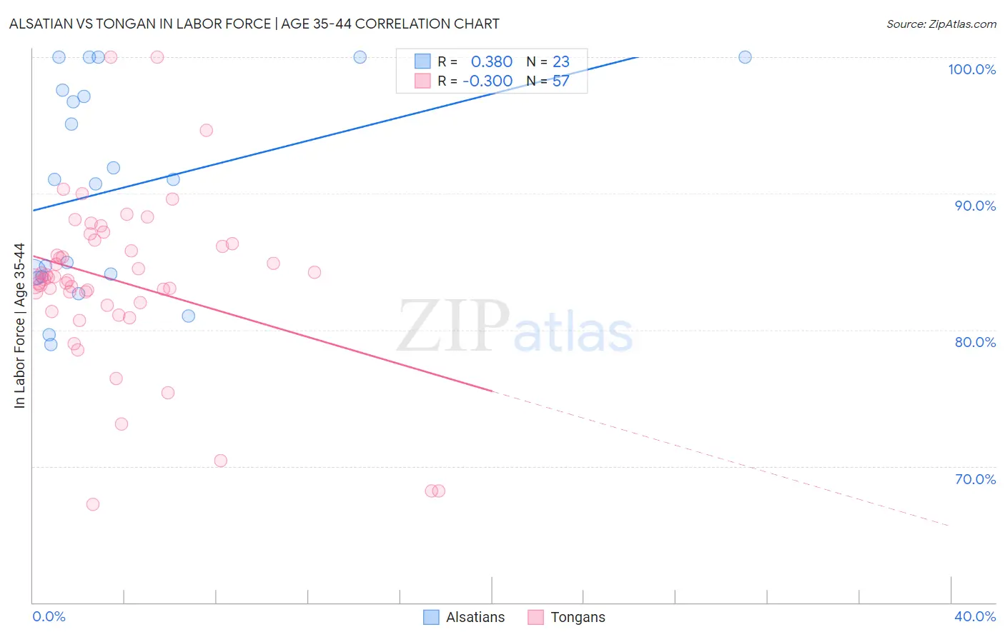 Alsatian vs Tongan In Labor Force | Age 35-44