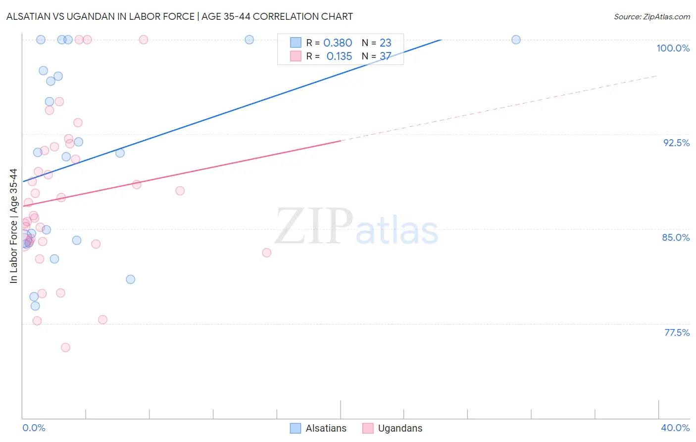 Alsatian vs Ugandan In Labor Force | Age 35-44