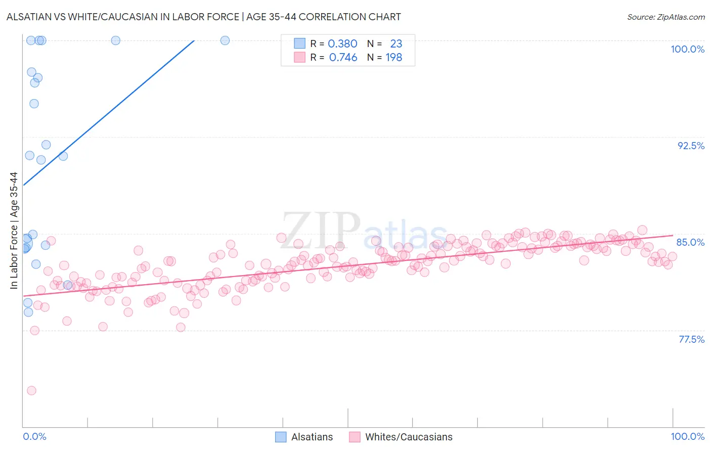 Alsatian vs White/Caucasian In Labor Force | Age 35-44