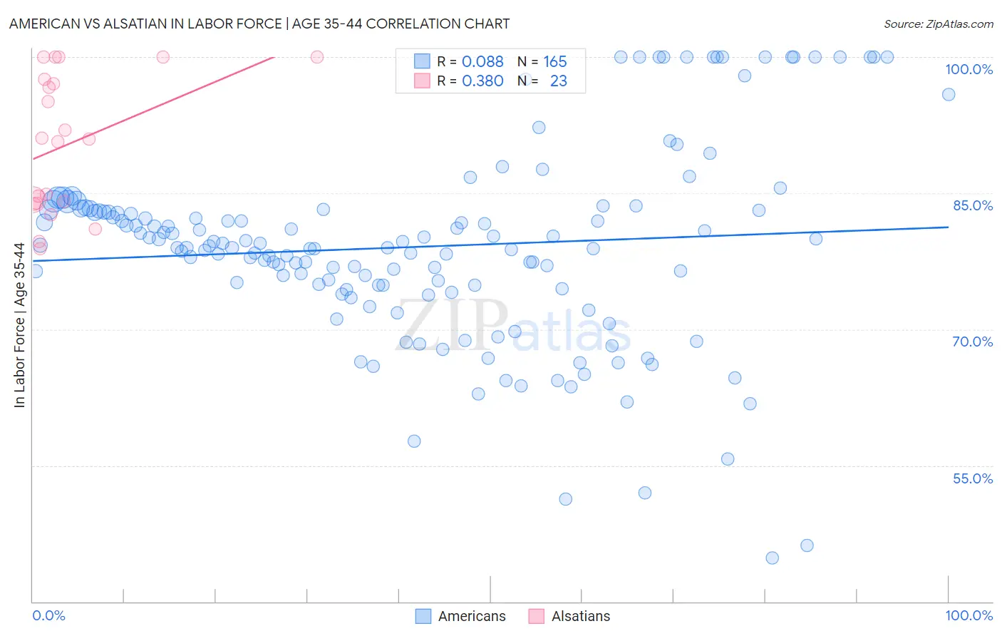 American vs Alsatian In Labor Force | Age 35-44