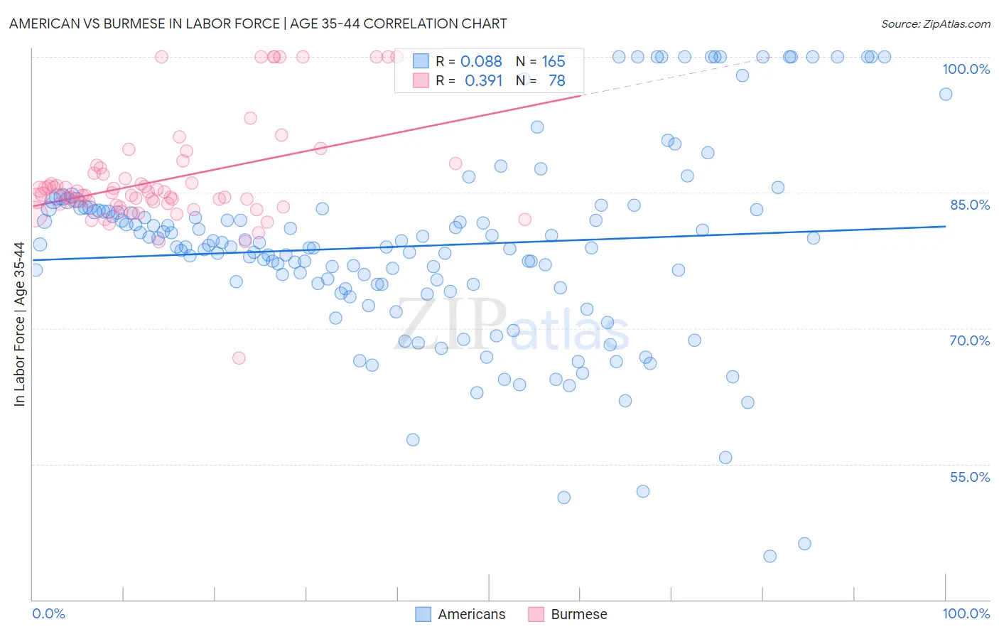 American vs Burmese In Labor Force | Age 35-44