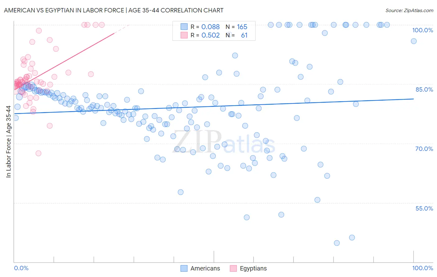 American vs Egyptian In Labor Force | Age 35-44