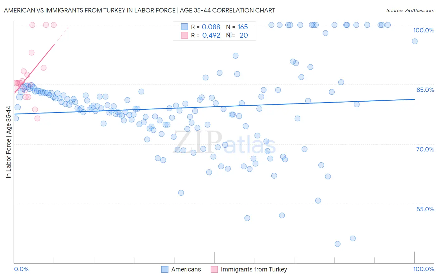 American vs Immigrants from Turkey In Labor Force | Age 35-44