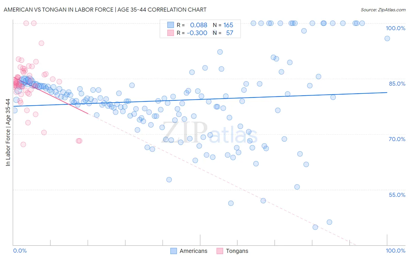 American vs Tongan In Labor Force | Age 35-44