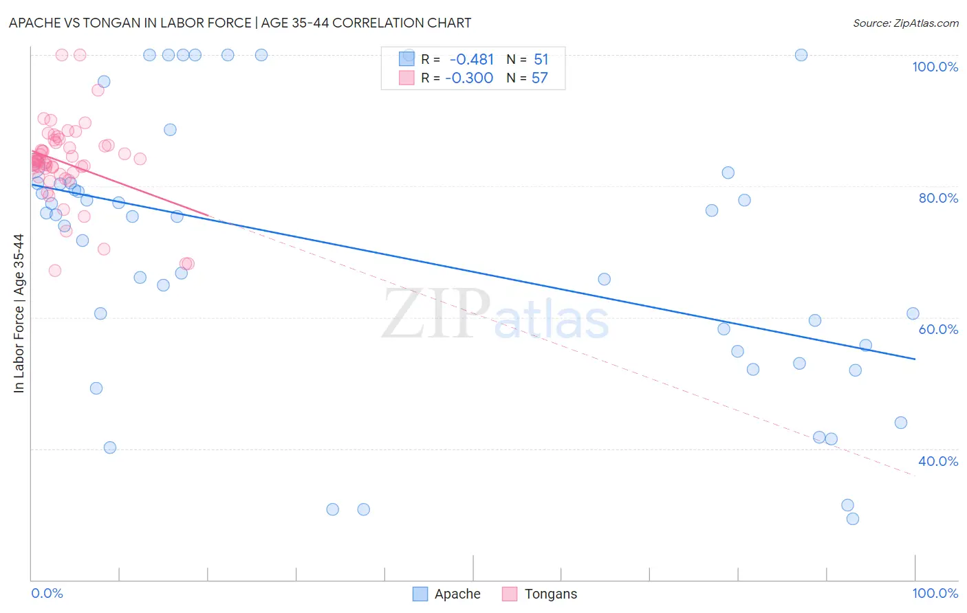 Apache vs Tongan In Labor Force | Age 35-44