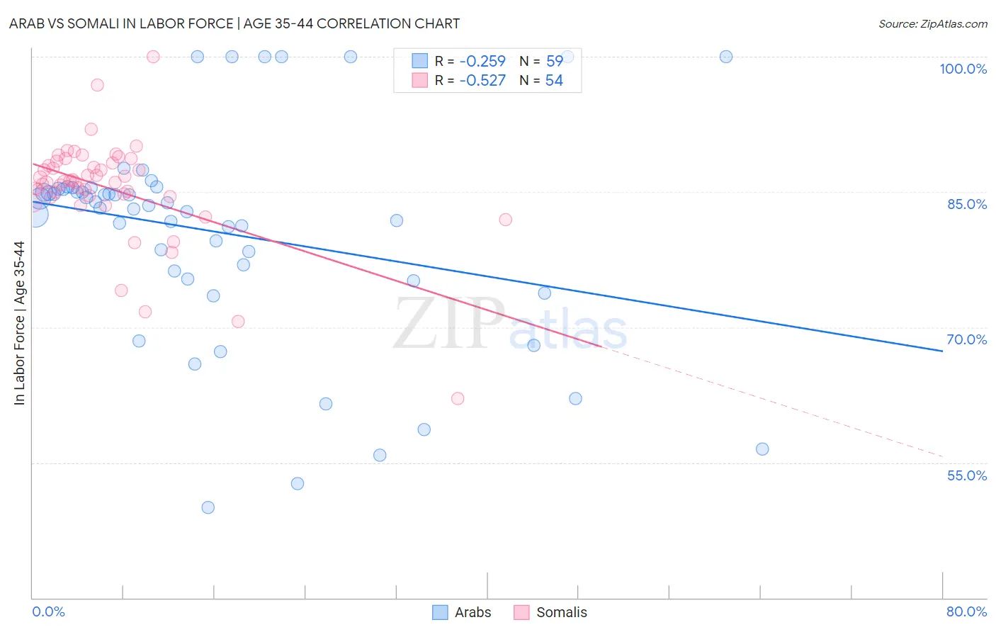 Arab vs Somali In Labor Force | Age 35-44