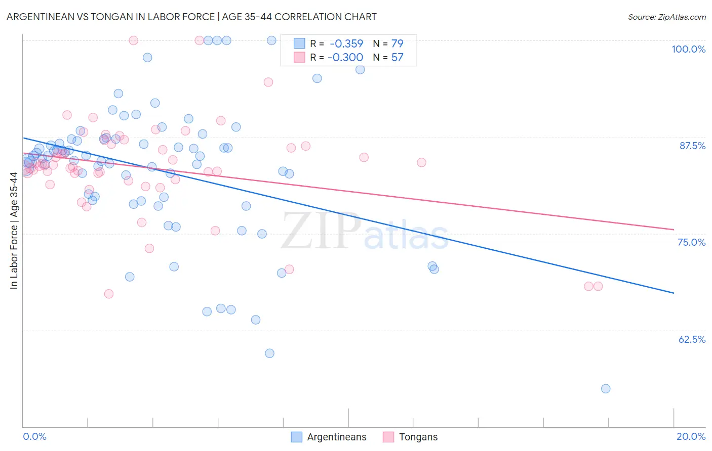 Argentinean vs Tongan In Labor Force | Age 35-44
