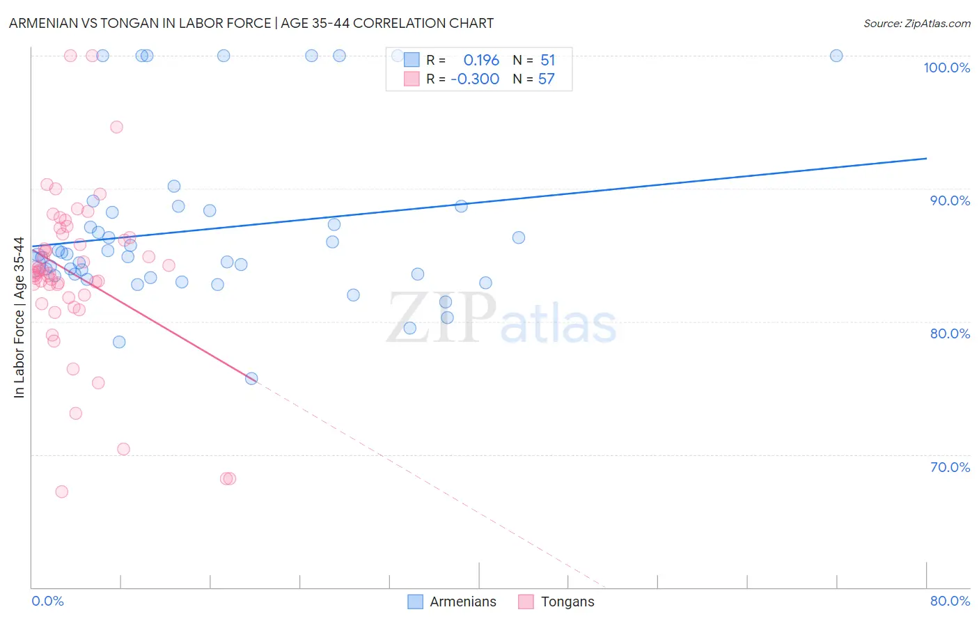 Armenian vs Tongan In Labor Force | Age 35-44