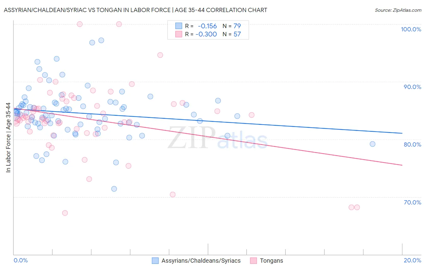 Assyrian/Chaldean/Syriac vs Tongan In Labor Force | Age 35-44