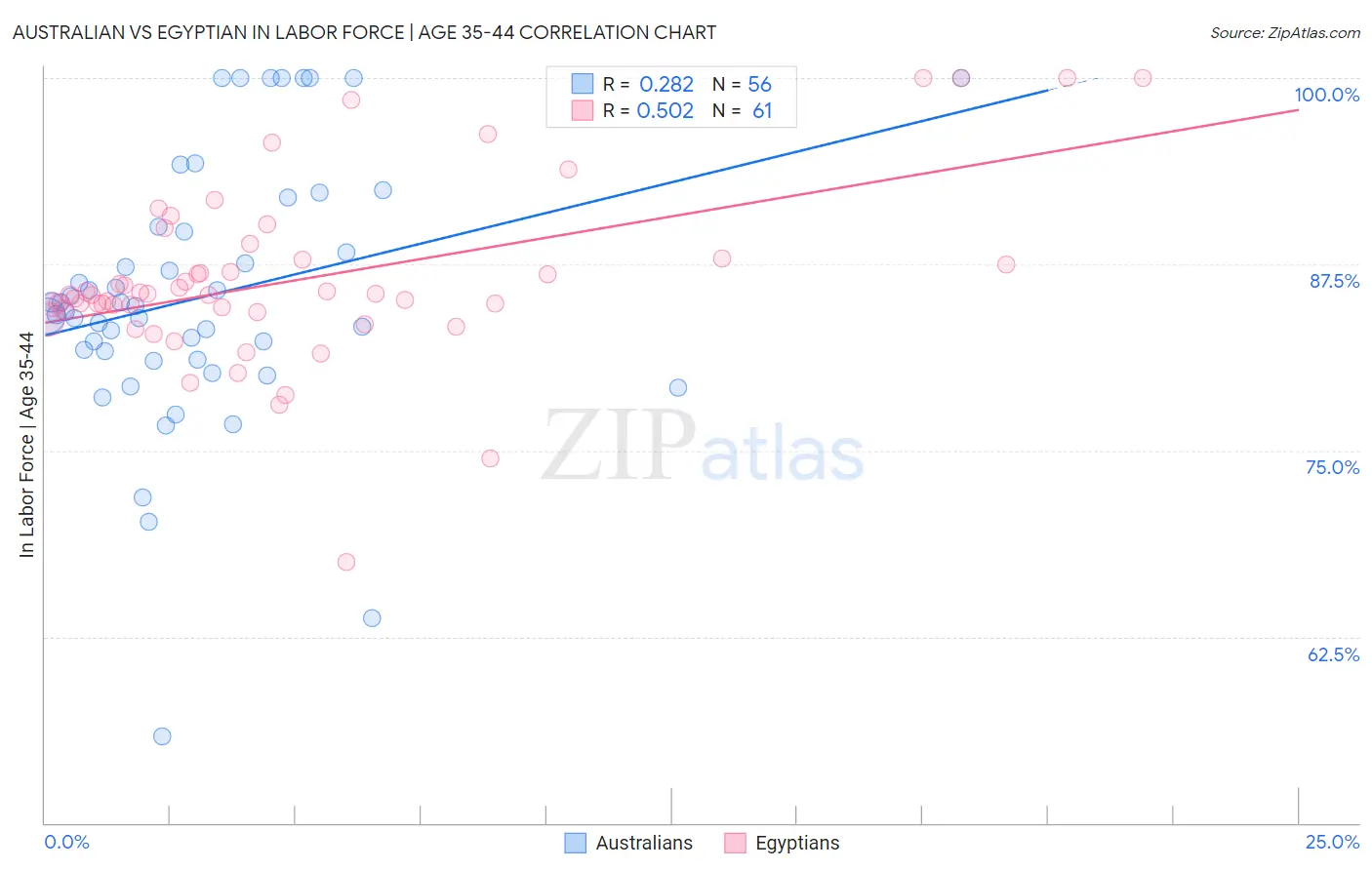 Australian vs Egyptian In Labor Force | Age 35-44