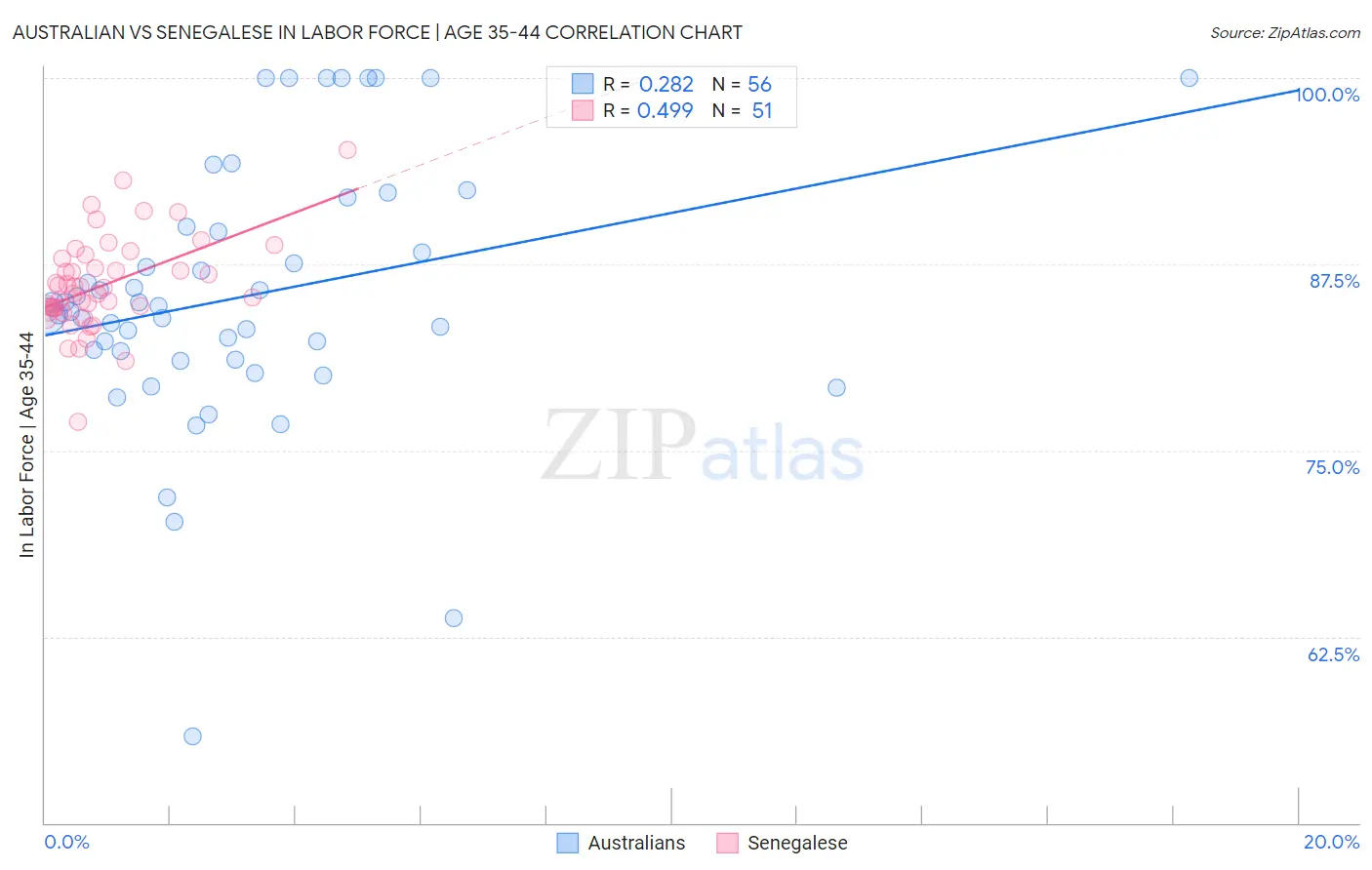 Australian vs Senegalese In Labor Force | Age 35-44