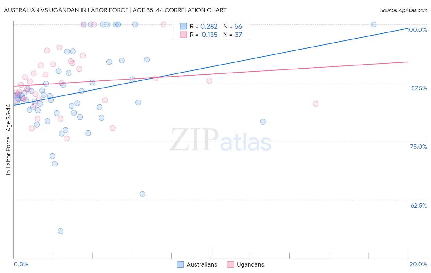 Australian vs Ugandan In Labor Force | Age 35-44