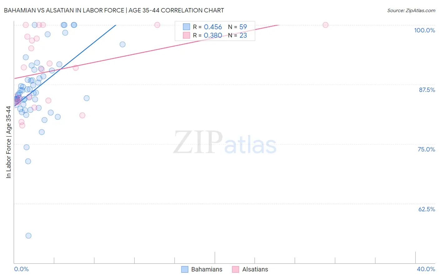 Bahamian vs Alsatian In Labor Force | Age 35-44