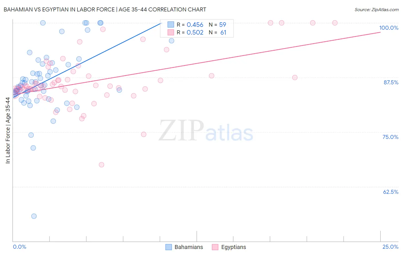 Bahamian vs Egyptian In Labor Force | Age 35-44
