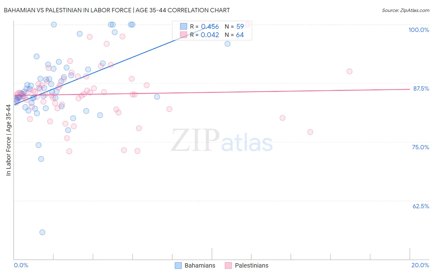 Bahamian vs Palestinian In Labor Force | Age 35-44