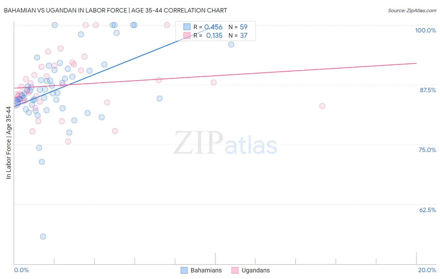 Bahamian vs Ugandan In Labor Force | Age 35-44