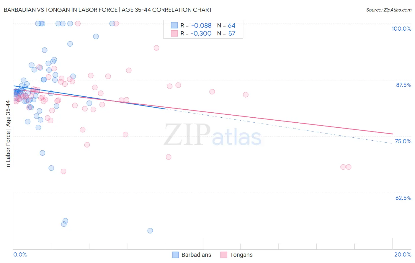 Barbadian vs Tongan In Labor Force | Age 35-44