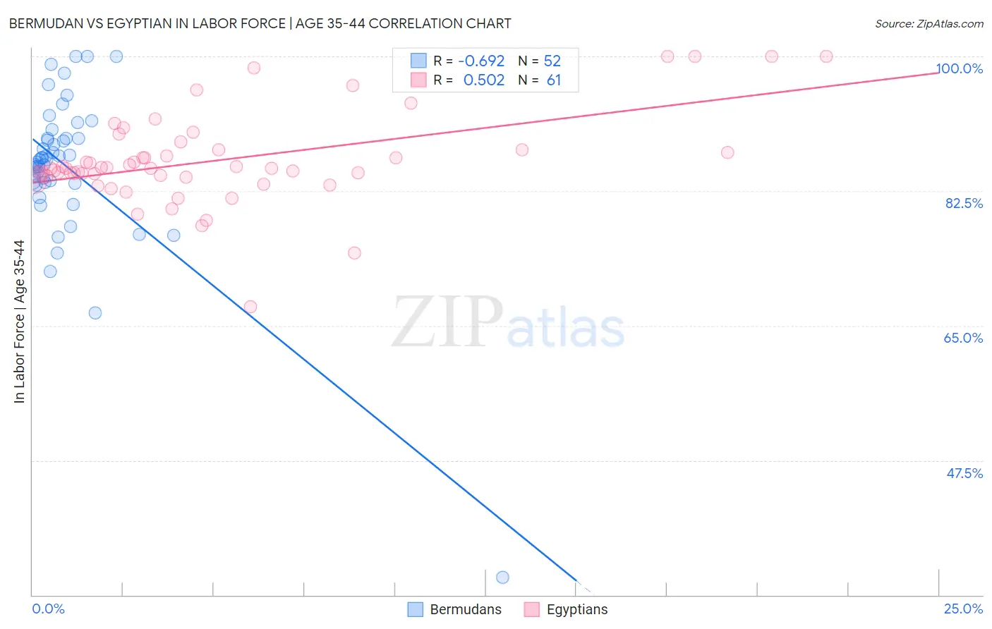 Bermudan vs Egyptian In Labor Force | Age 35-44