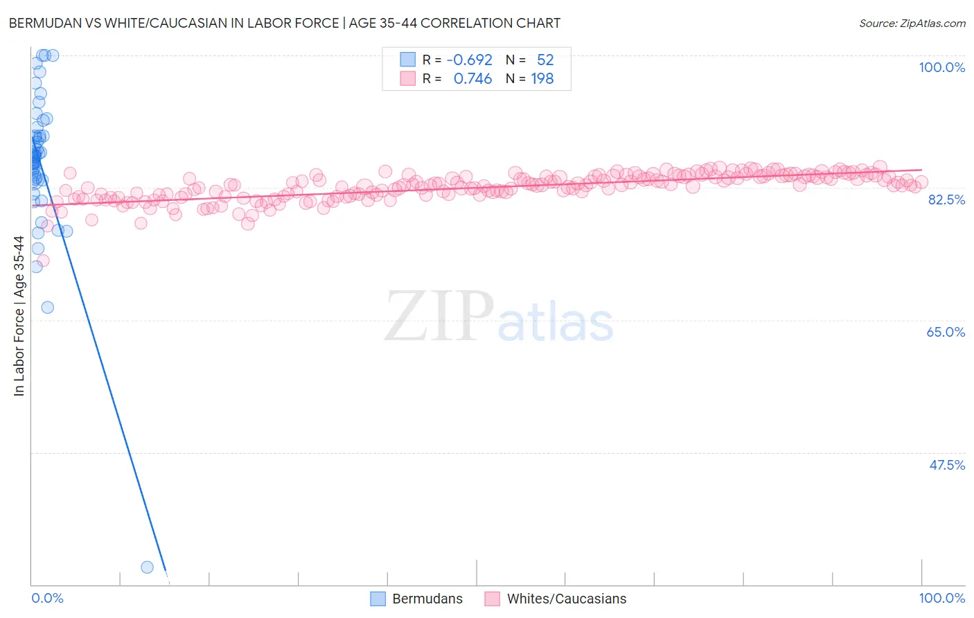 Bermudan vs White/Caucasian In Labor Force | Age 35-44