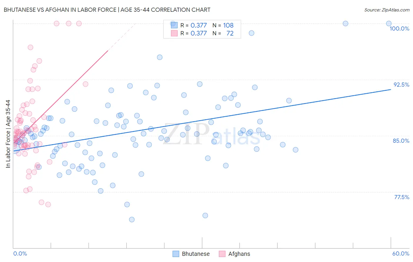 Bhutanese vs Afghan In Labor Force | Age 35-44