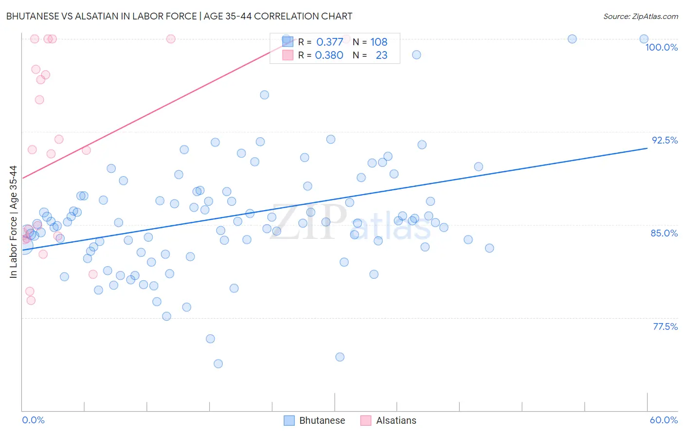 Bhutanese vs Alsatian In Labor Force | Age 35-44