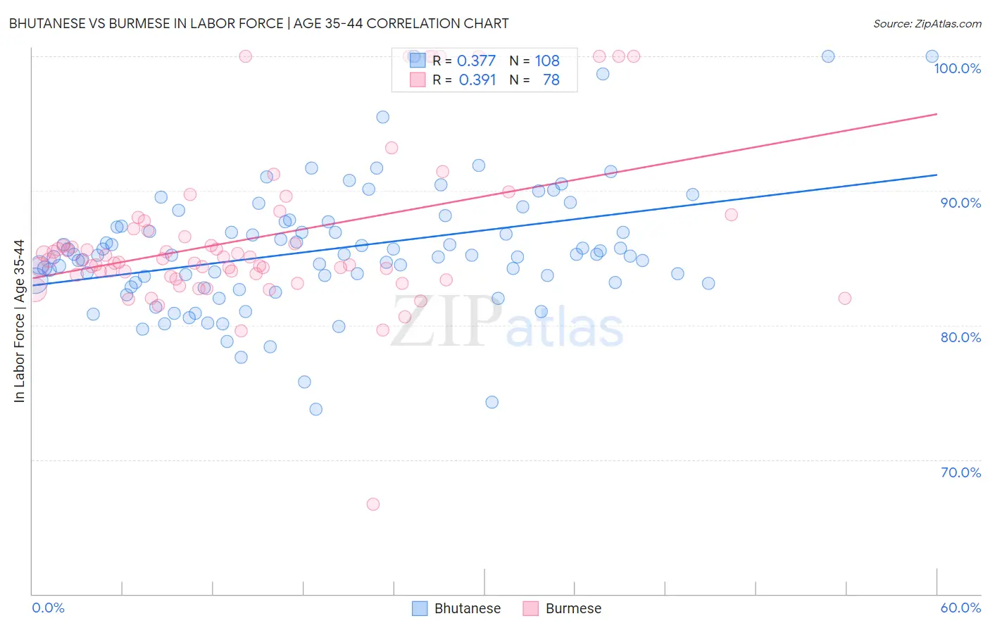 Bhutanese vs Burmese In Labor Force | Age 35-44