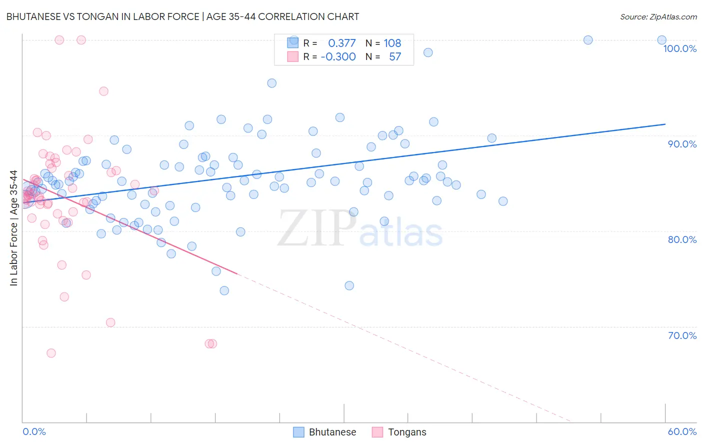 Bhutanese vs Tongan In Labor Force | Age 35-44