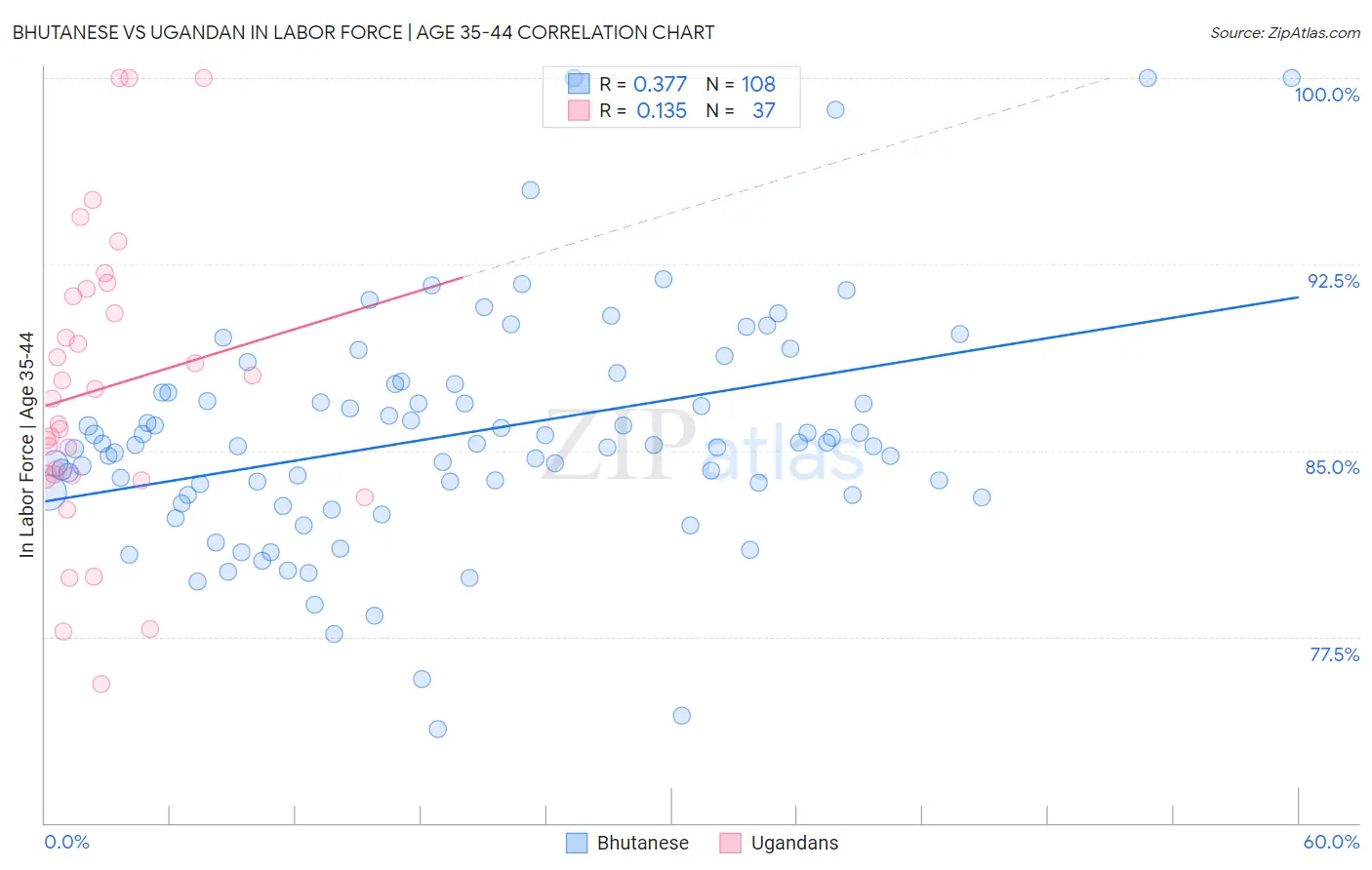 Bhutanese vs Ugandan In Labor Force | Age 35-44