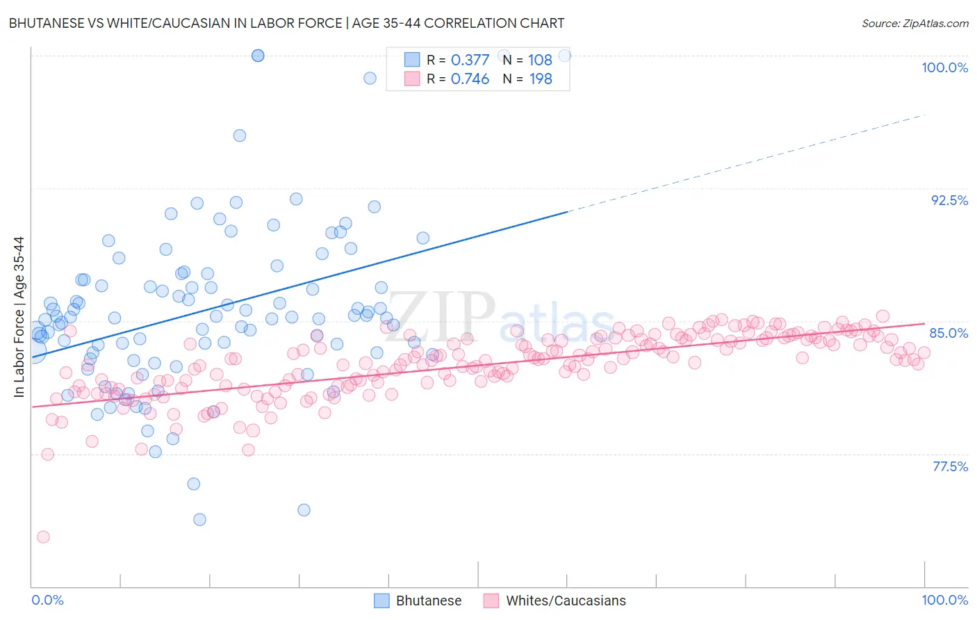 Bhutanese vs White/Caucasian In Labor Force | Age 35-44