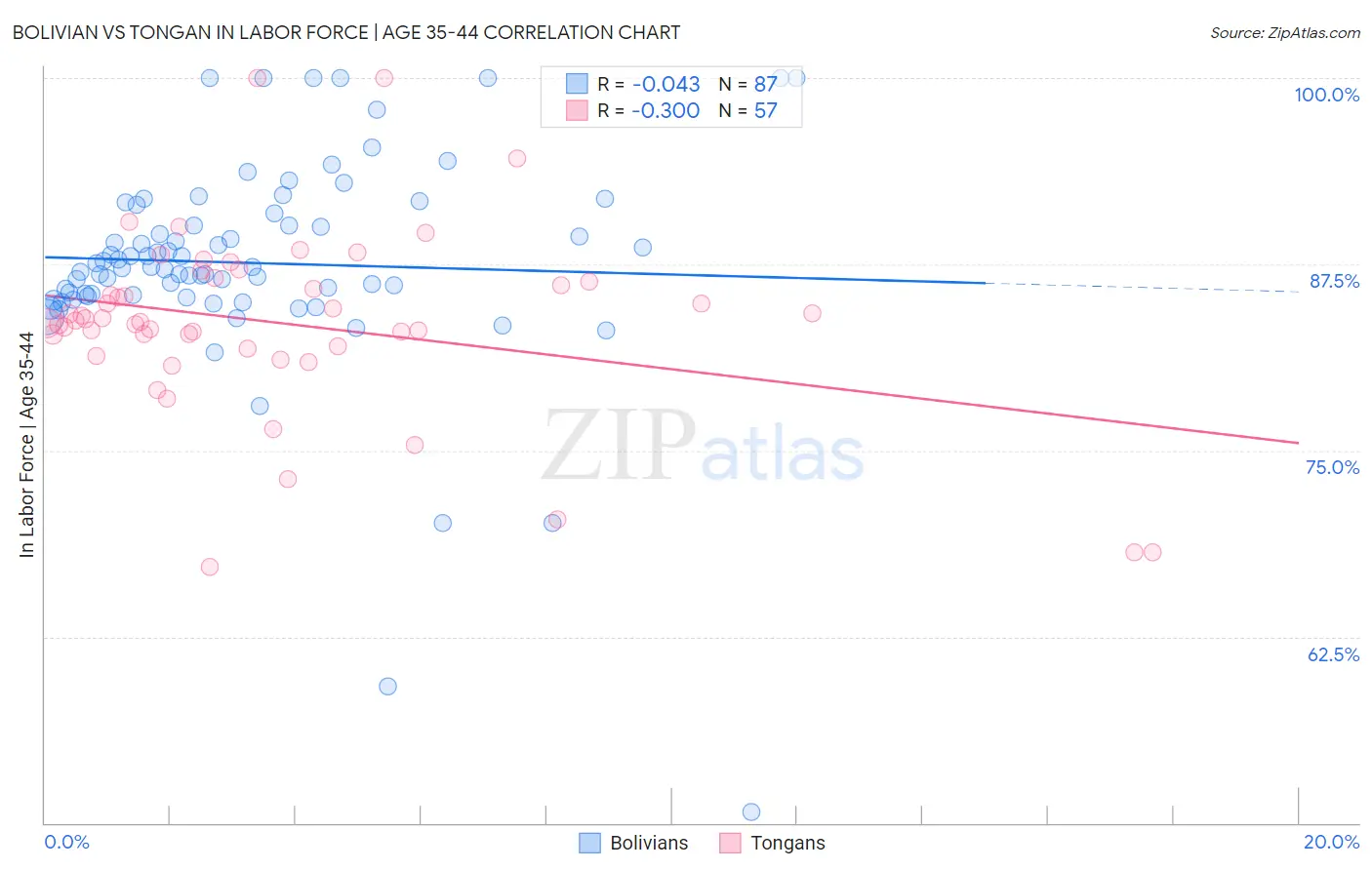 Bolivian vs Tongan In Labor Force | Age 35-44