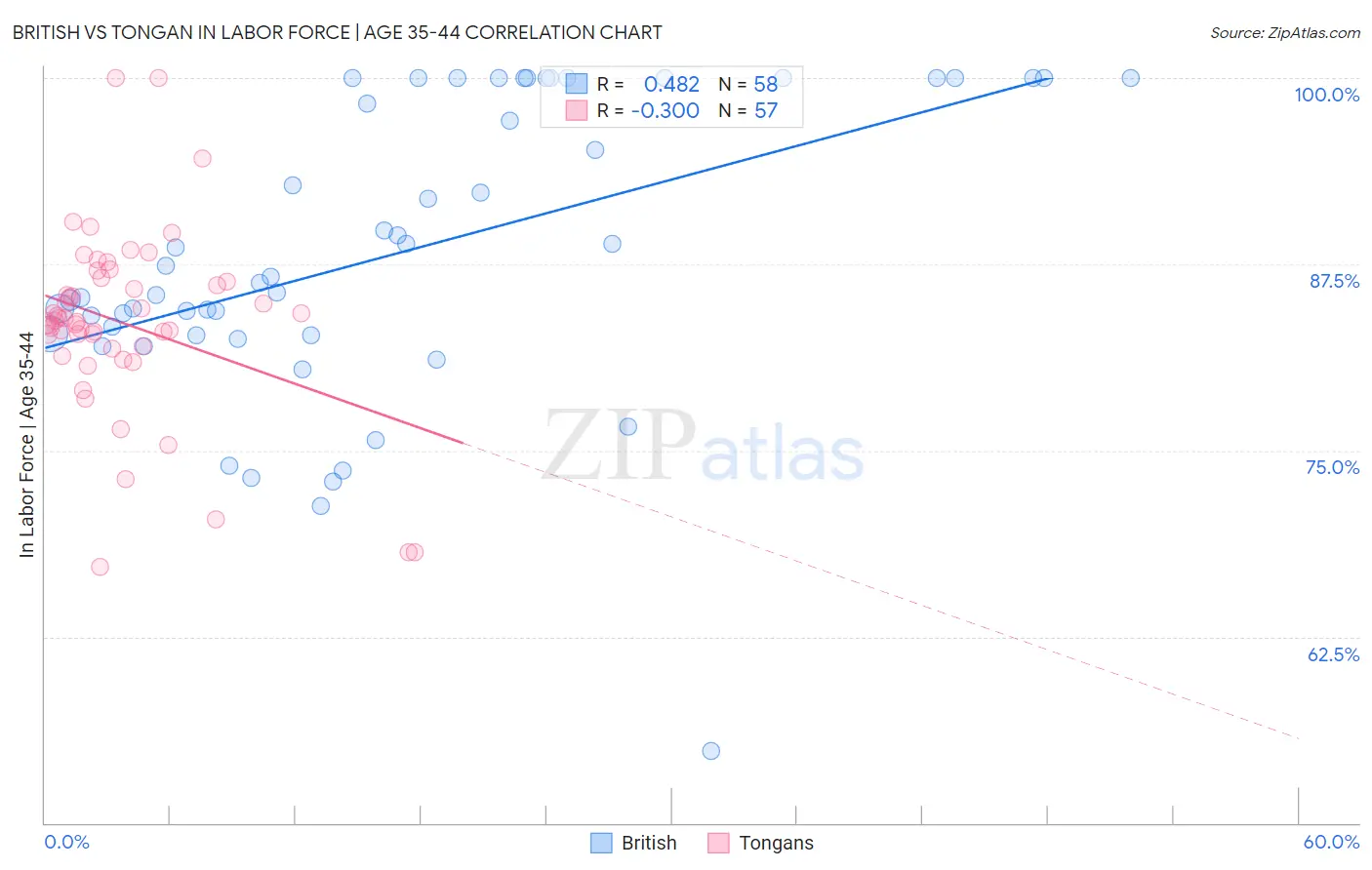 British vs Tongan In Labor Force | Age 35-44