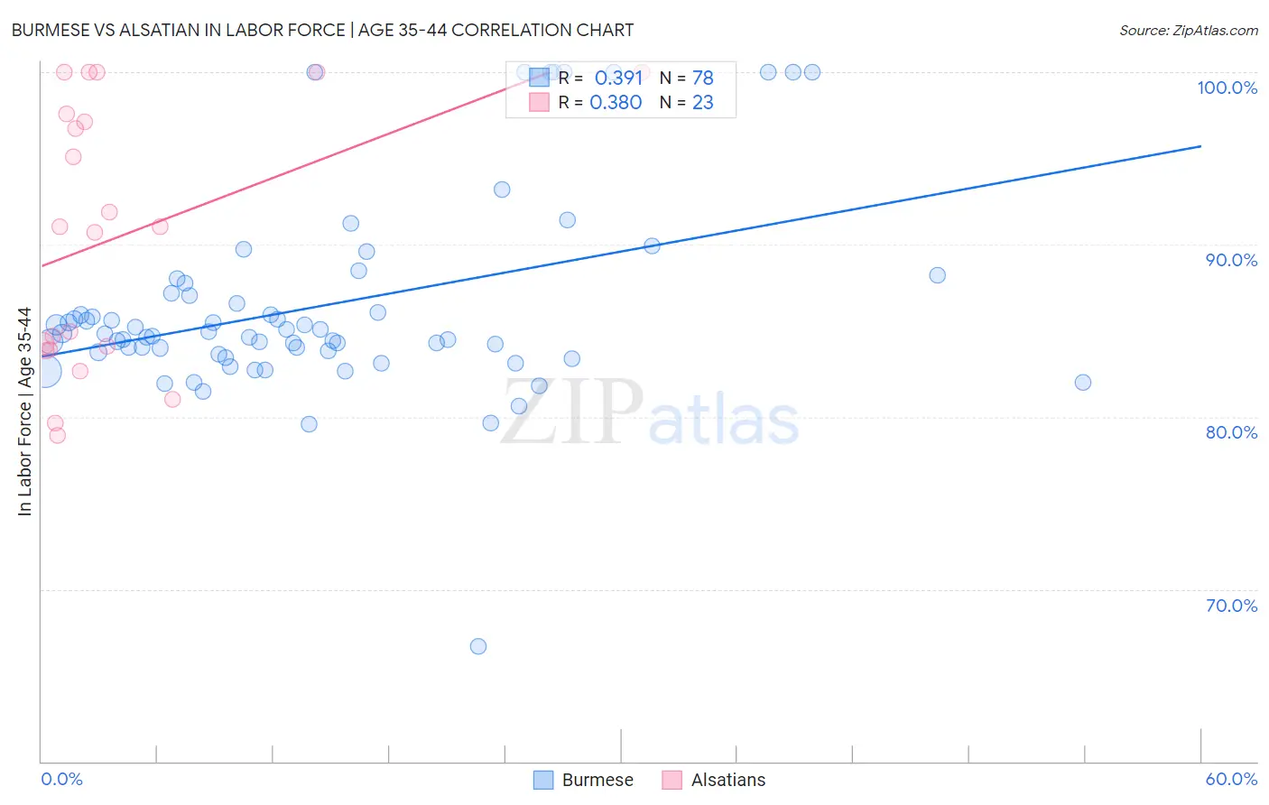 Burmese vs Alsatian In Labor Force | Age 35-44