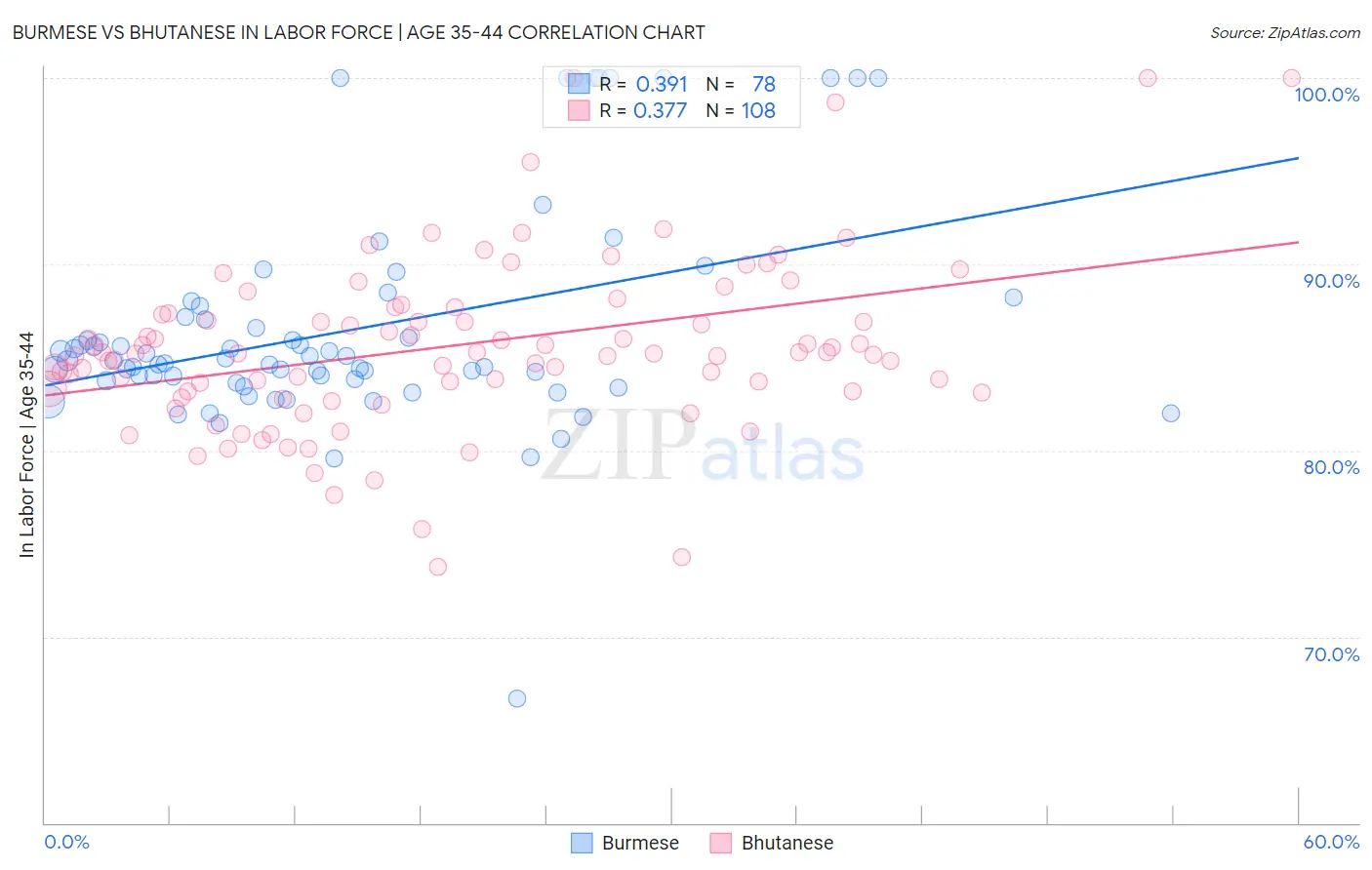 Burmese vs Bhutanese In Labor Force | Age 35-44