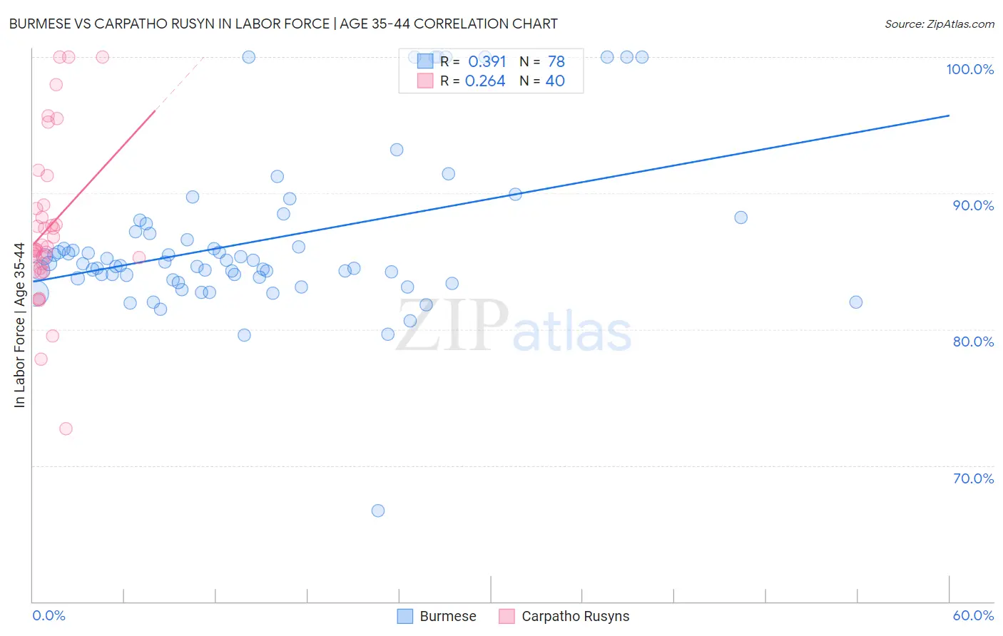 Burmese vs Carpatho Rusyn In Labor Force | Age 35-44