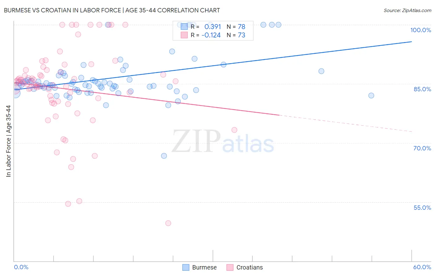 Burmese vs Croatian In Labor Force | Age 35-44