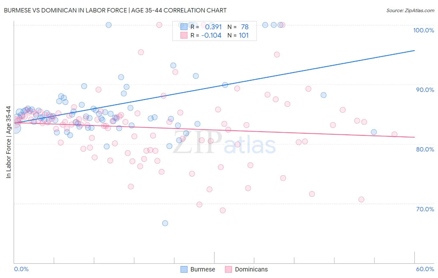 Burmese vs Dominican In Labor Force | Age 35-44