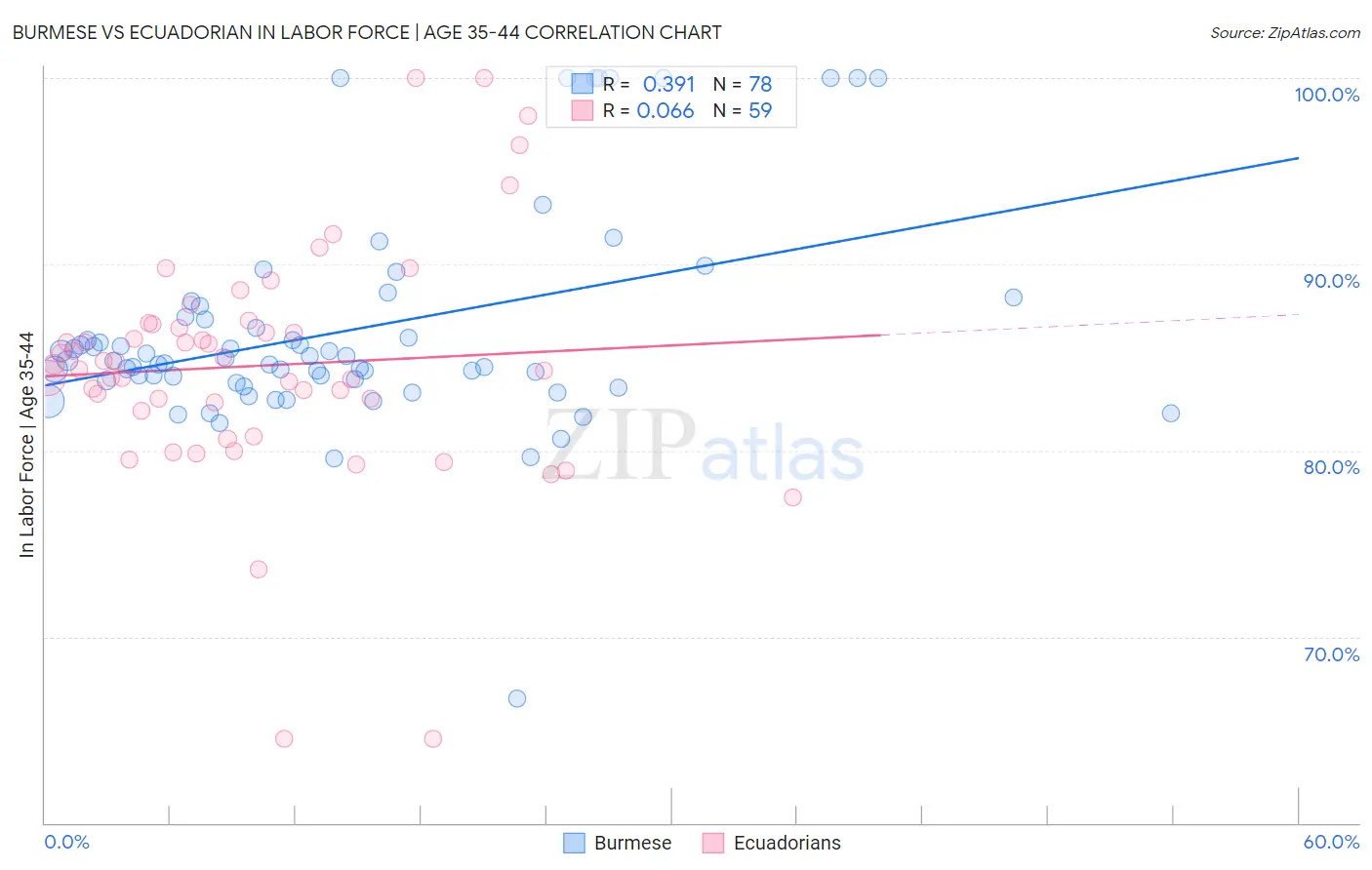 Burmese vs Ecuadorian In Labor Force | Age 35-44