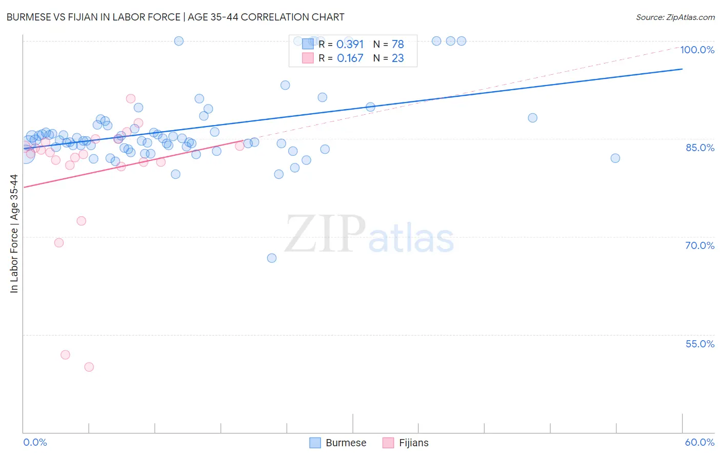 Burmese vs Fijian In Labor Force | Age 35-44