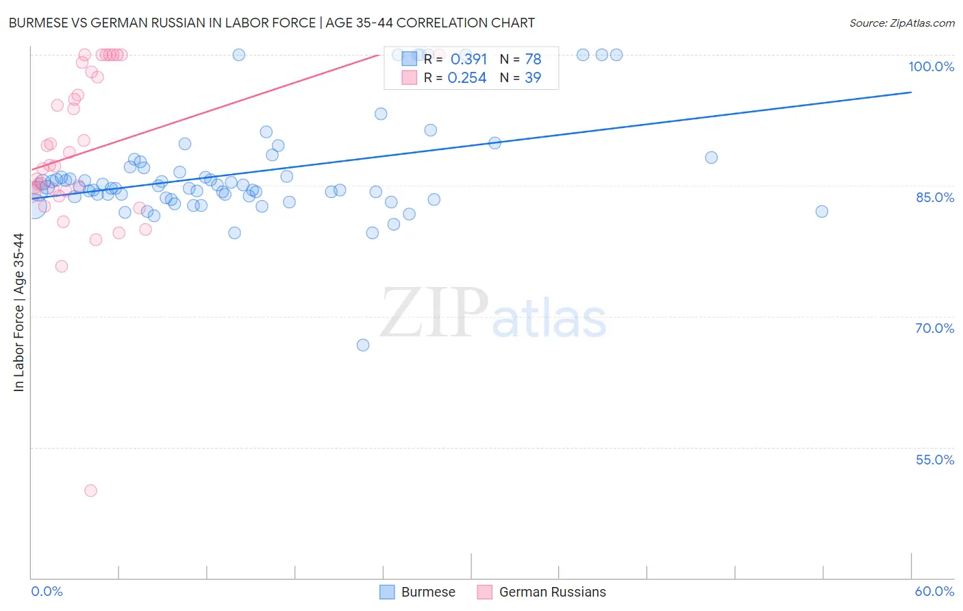Burmese vs German Russian In Labor Force | Age 35-44