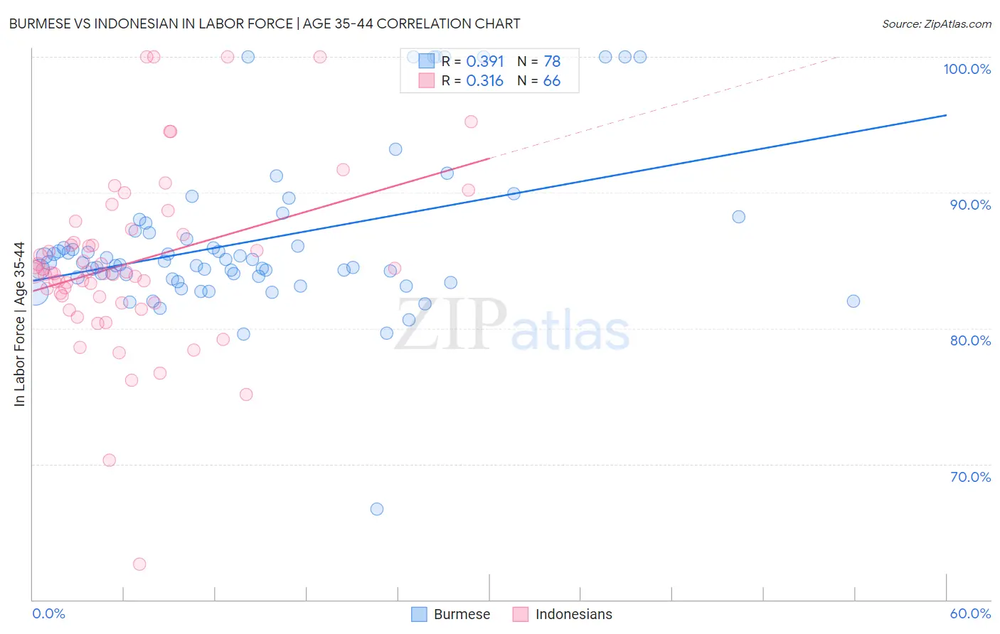 Burmese vs Indonesian In Labor Force | Age 35-44