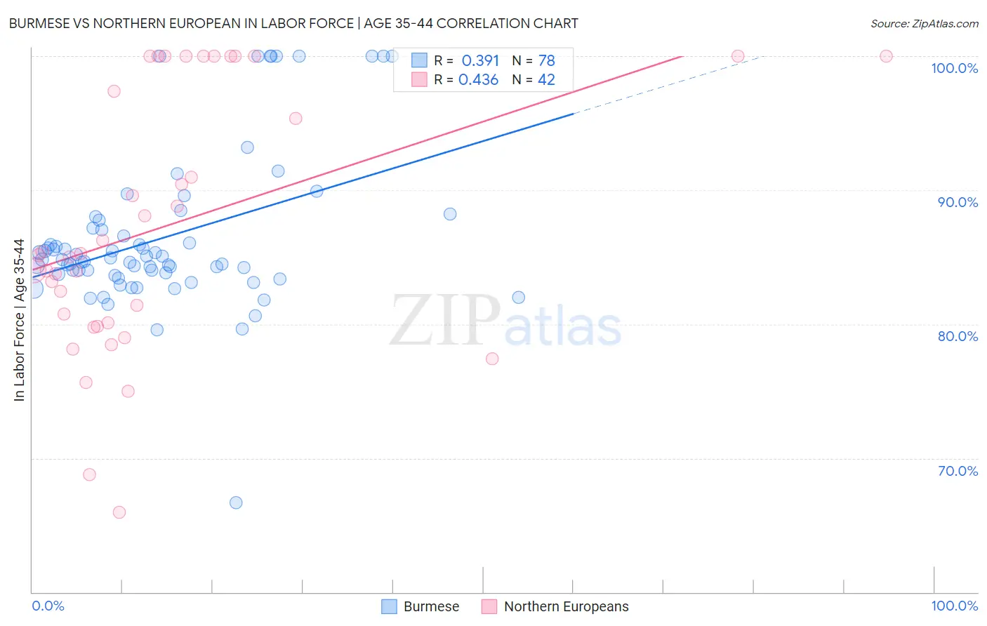 Burmese vs Northern European In Labor Force | Age 35-44
